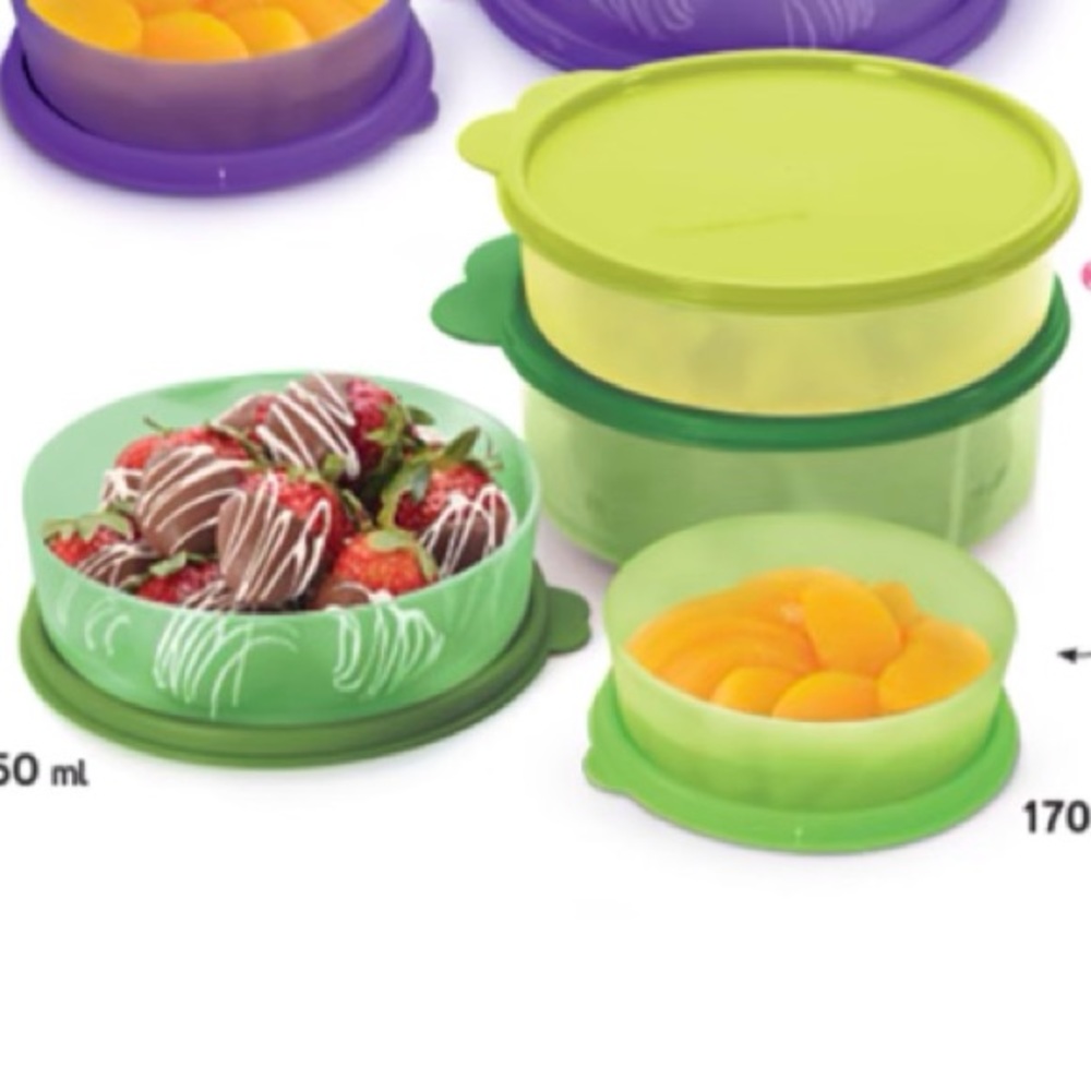 Tupperware Containers Refriredondos Set of 4